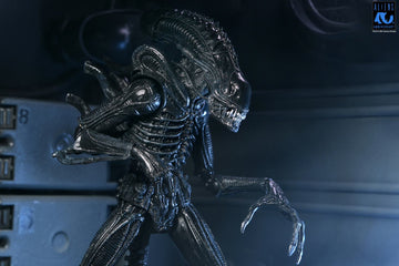 Warrior Xenomorph Black Ultimate Aliens 40th Anniversary Figurka 23 cm