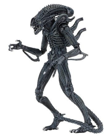 Alien Warrior Blue Aliens 1986 Ultimate Figurka 23 cm