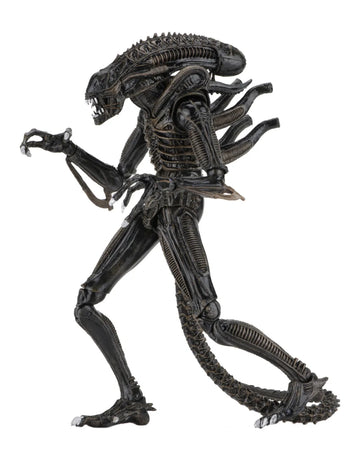 Alien Warrior Brown Aliens 1986 Ultimate Figurka 23 cm
