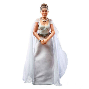 Princess Leia Organa The Power of the Force Star Wars Black Series Figurka 15 cm