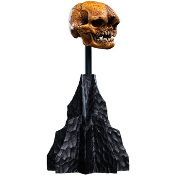 Skull Of A Misty Mountain Goblin The Hobbit Trilogy Figurka 14 cm