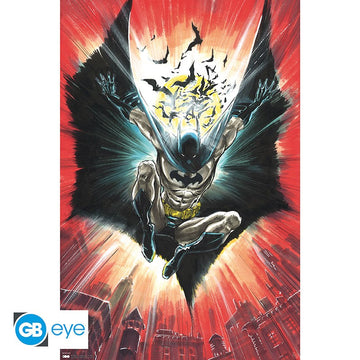 DC Comics Batman - Warner 100th Maxi Poster Plakat 61 X 91.5cm