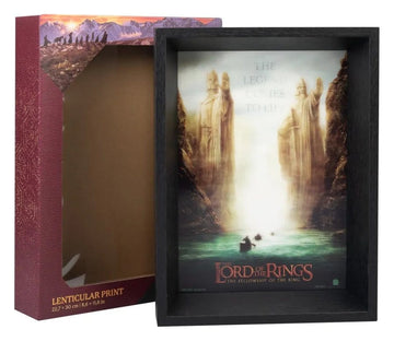 The Lord of the Rings Plakat w Ramie