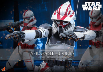 Sergeant Hound Star Wars: The Clone Wars 1/6 Figurka 30 cm
