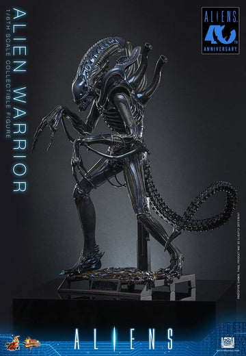 Alien Warrior Alien Movie Masterpiece 1/6 Figurka 39 cm
