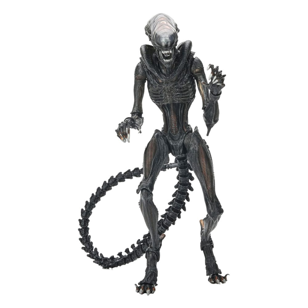 Scorched Xenomorph Alien: Romulus Figurka 18 cm