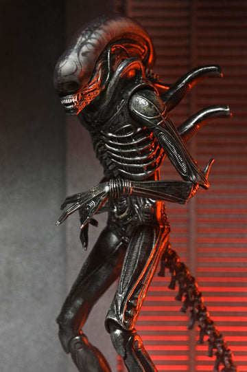 Xenomorph XX121 Alien: Romulus Figurka 18 cm