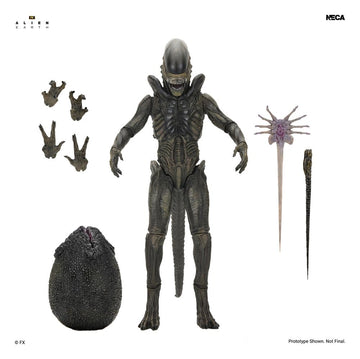 Xenomorph Alien: Earth Ultimate Figurka 18 cm