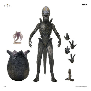 Wendy's Xenomorph Alien: Earth Ultimate Figurka 18 cm
