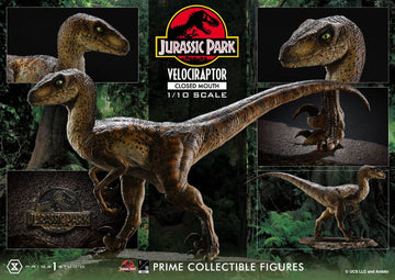 Velociraptor Closed Mouth Jurassic Park Prime Collectibles 1/10 Figurka 19 cm